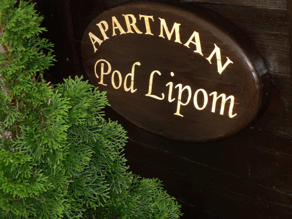 Apartment Pod Lipom Roč Værelse billede